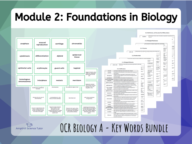 Foundations in Biology OCR Key Words Teaching Resources
