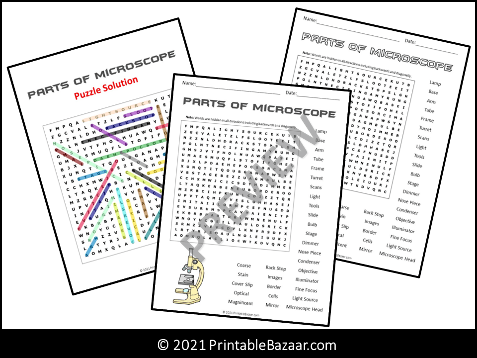 Parts of Microscope Word Search Puzzle Teaching Resources