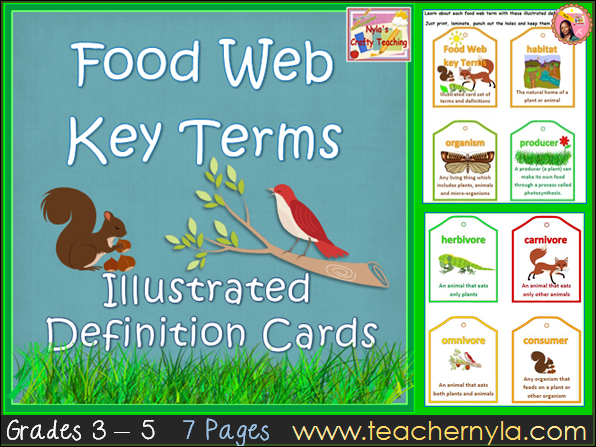 Several interconnected food chains form a food web. Food Chains And Food Webs Definition Cards Teaching Resources