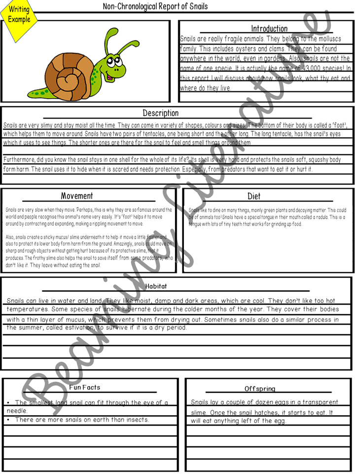 NonChronological Report/ Fact File on Snails Writing, Planning