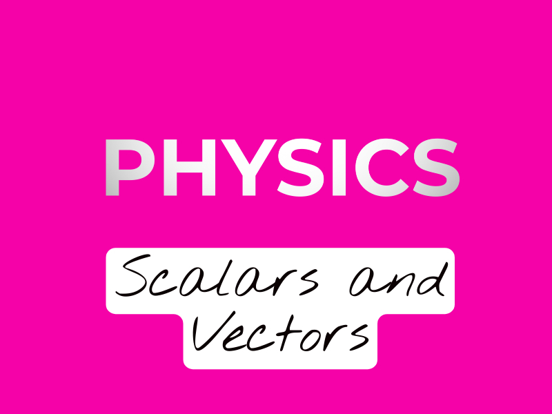 GCSE Physics Revision Notes And Quiz Scalars and Vectors Teaching