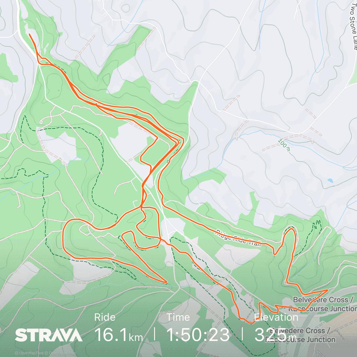 Haldon Forest Trail Map More MTB Haldon Forest trails with the kids GregBrock.co.uk