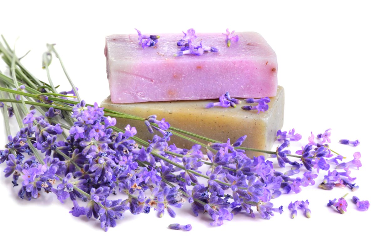 Lavender Soap Recipe Easy & Quick DIY Recipe