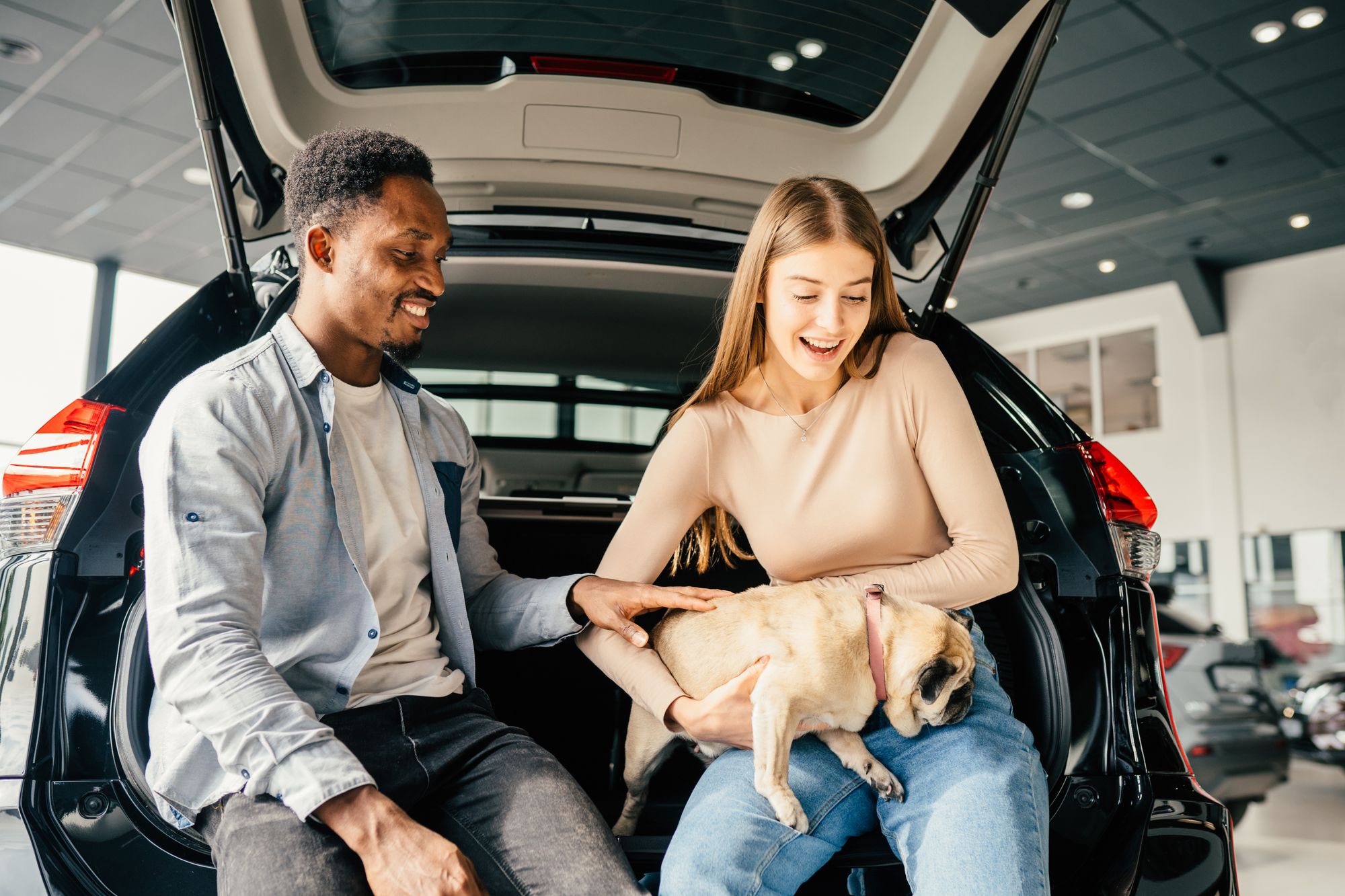 What Is MultiAuto Insurance?