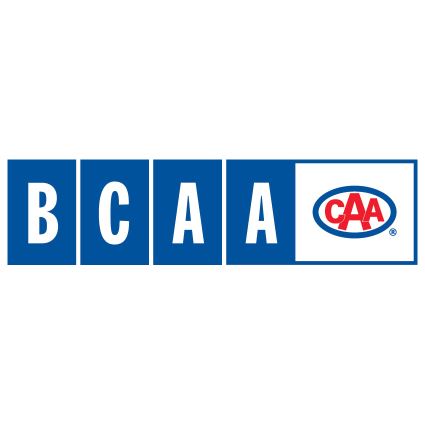 BCAA Information BCAA Profile