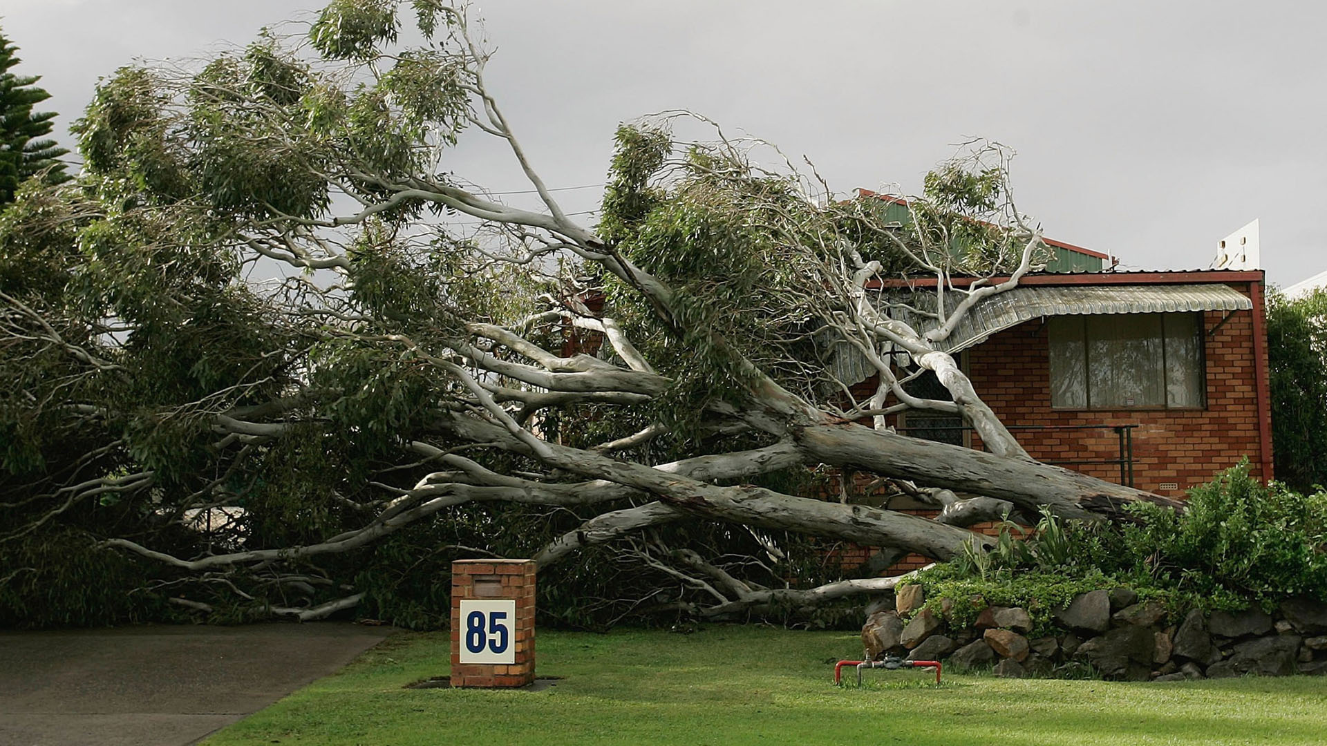 If your neighbor's tree falls in your yard, who pays for cleanup?