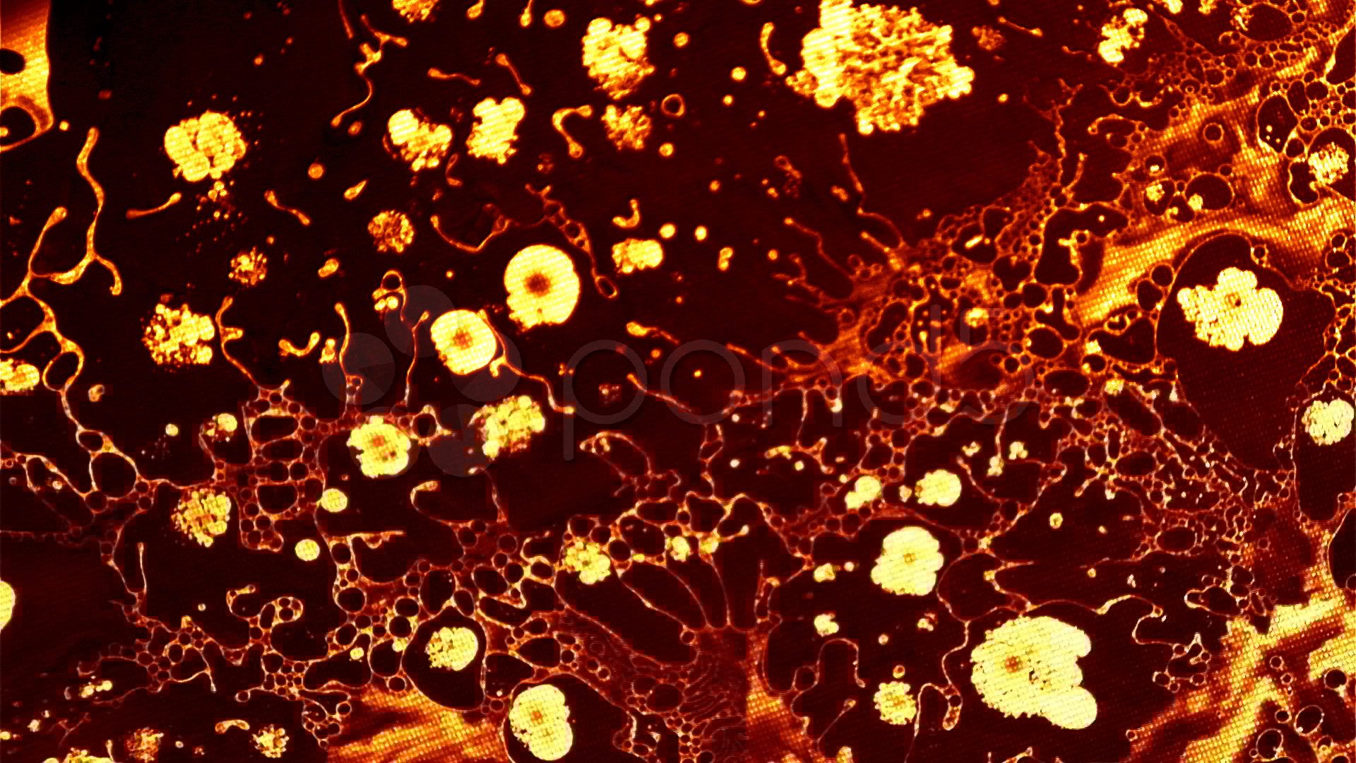 Film Burn Texture HD & 4K Stock Footage 000128983 Pond5