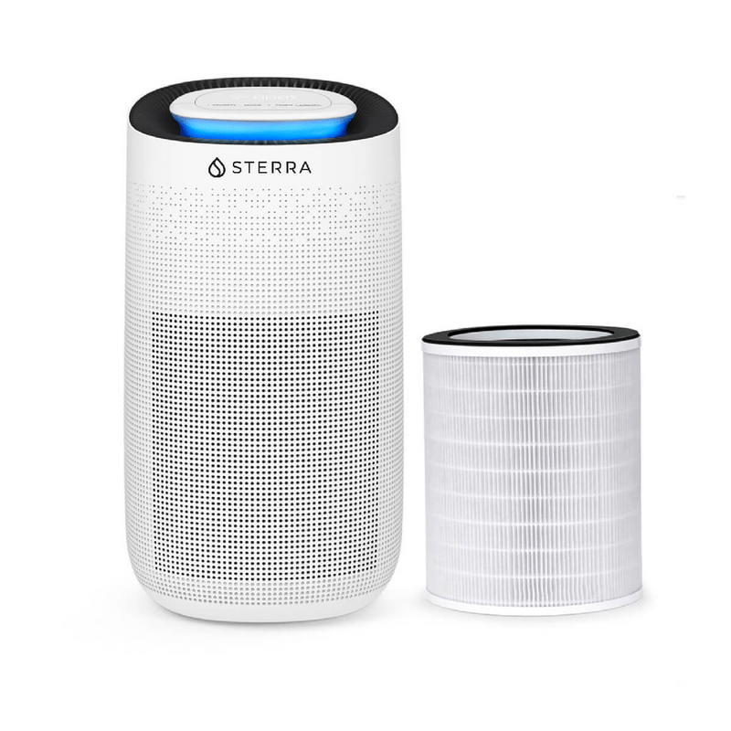 Buying Guide Our Top Picks for the Best Air Purifiers in Malaysia