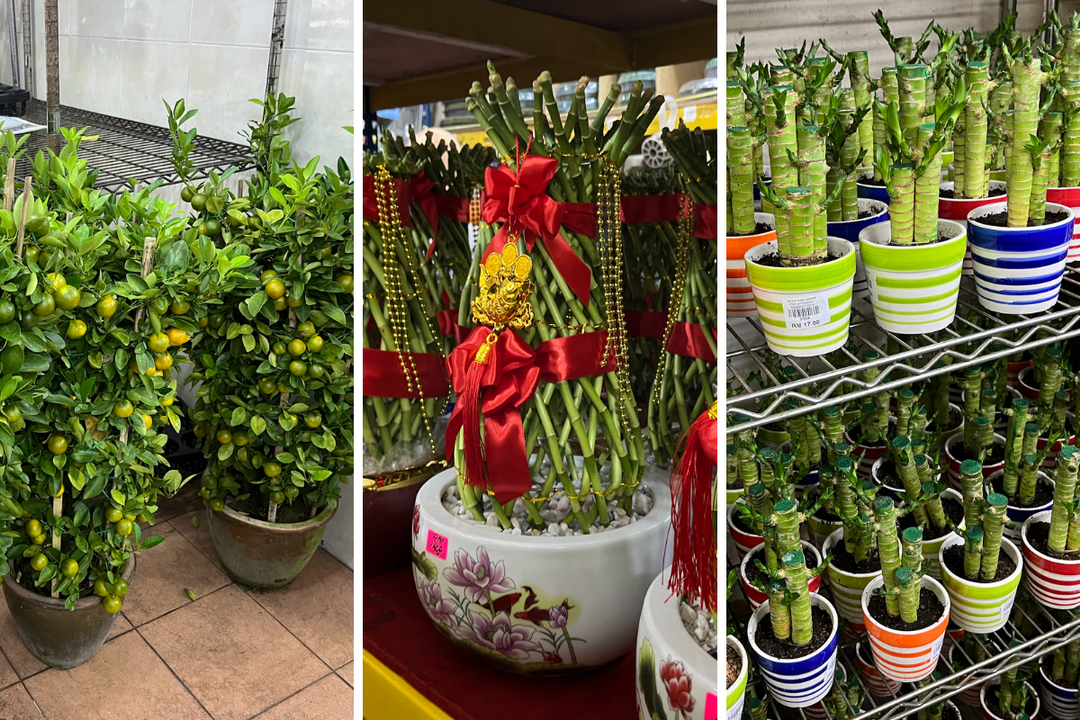 6 Best Places to Buy CNY Decor for a Festive Home Upgrade Qanvast