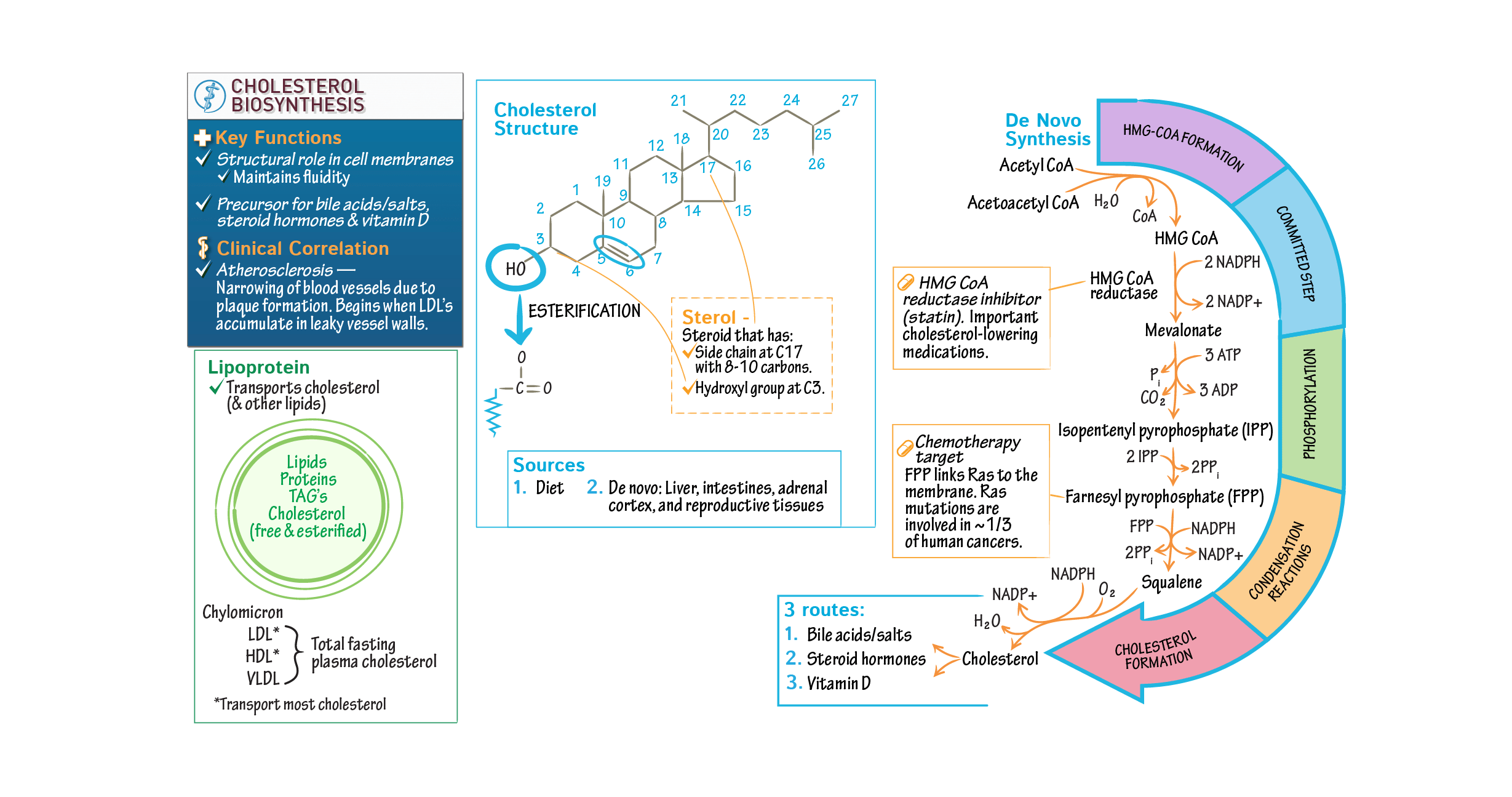 MCAT Biology & Biochemistry Cholesterol Biosynthesis Draw It to Know It