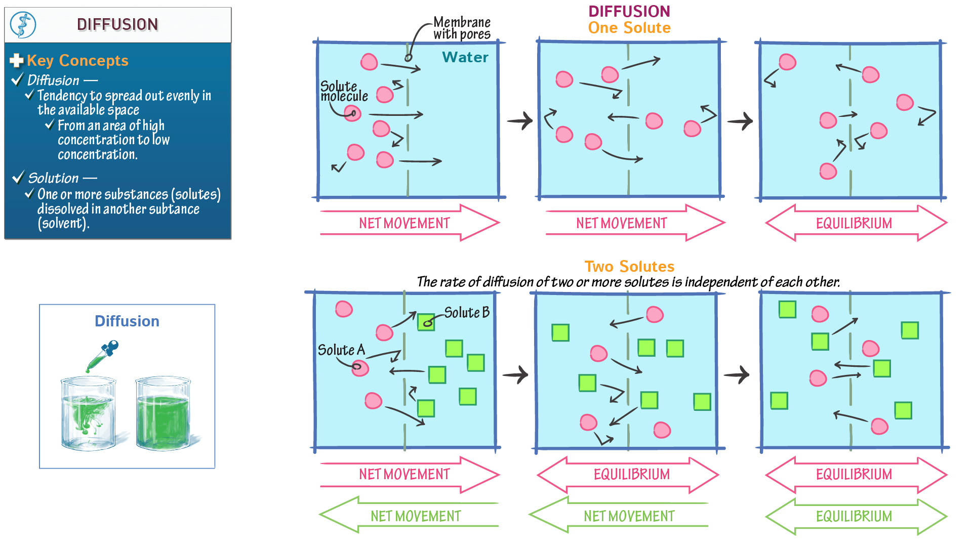 MCAT Biology & Biochemistry Diffusion Overview Draw It to Know It