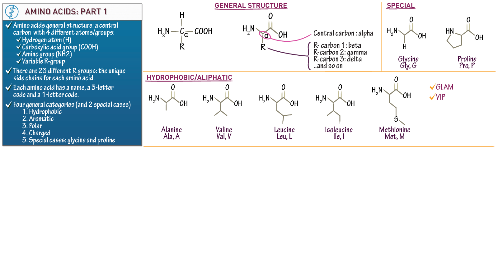 Amino Acid Structure A Level Biology