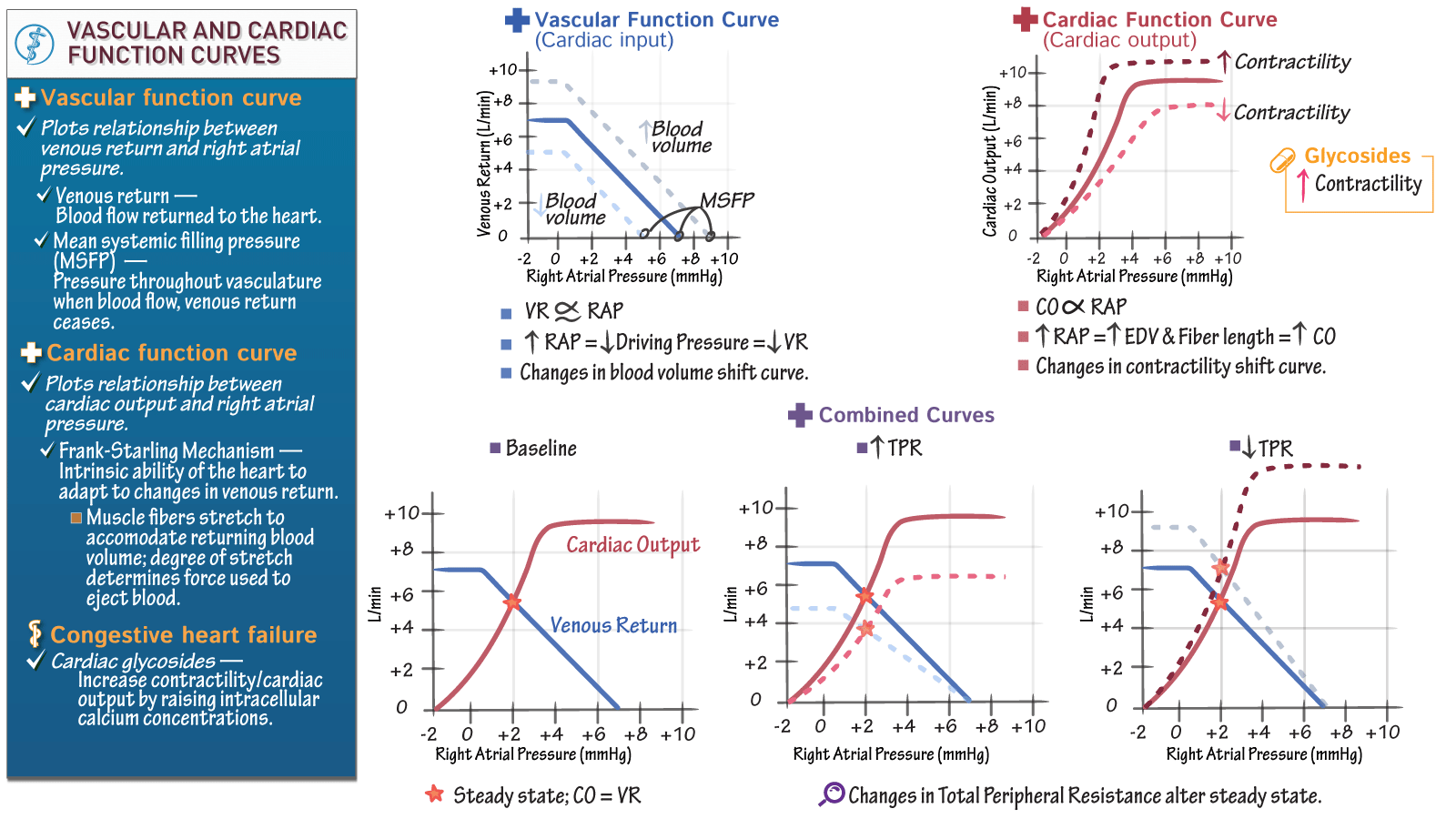 USMLE / COMLEX Step 1 Vascular and Cardiac Function Curves ditki
