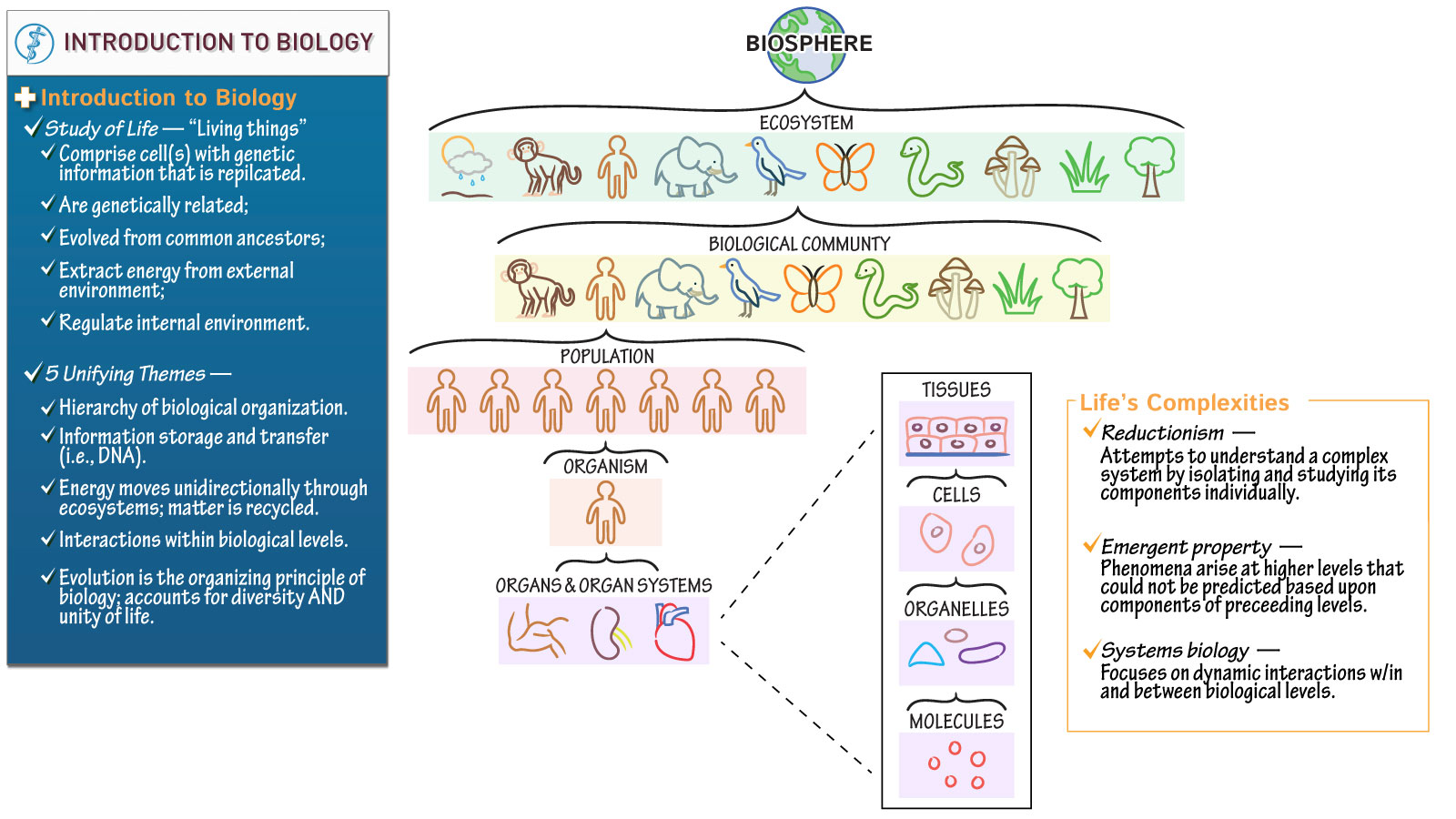 1.2: Themes and Concepts of Biology Biology LibreTexts