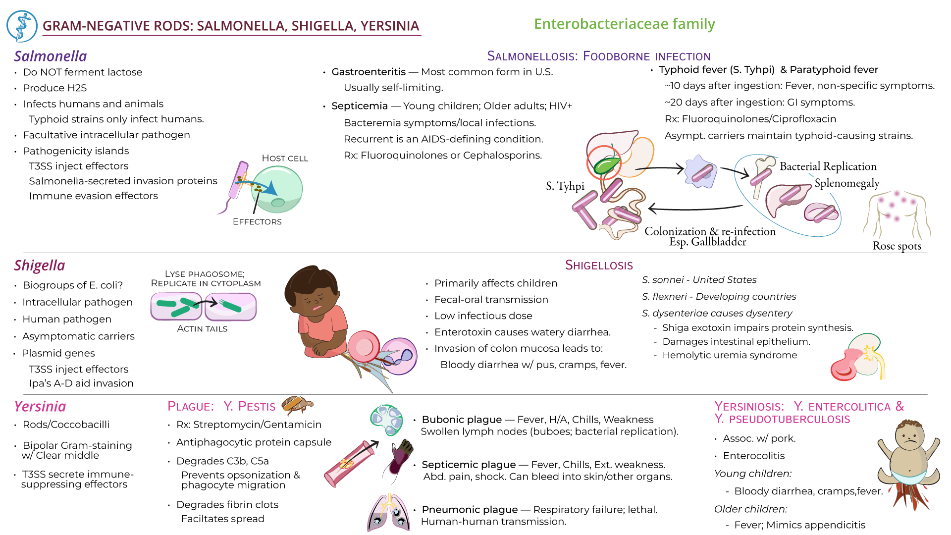 Salmonella, Shigella, Yersinia ditki medical and biological sciences
