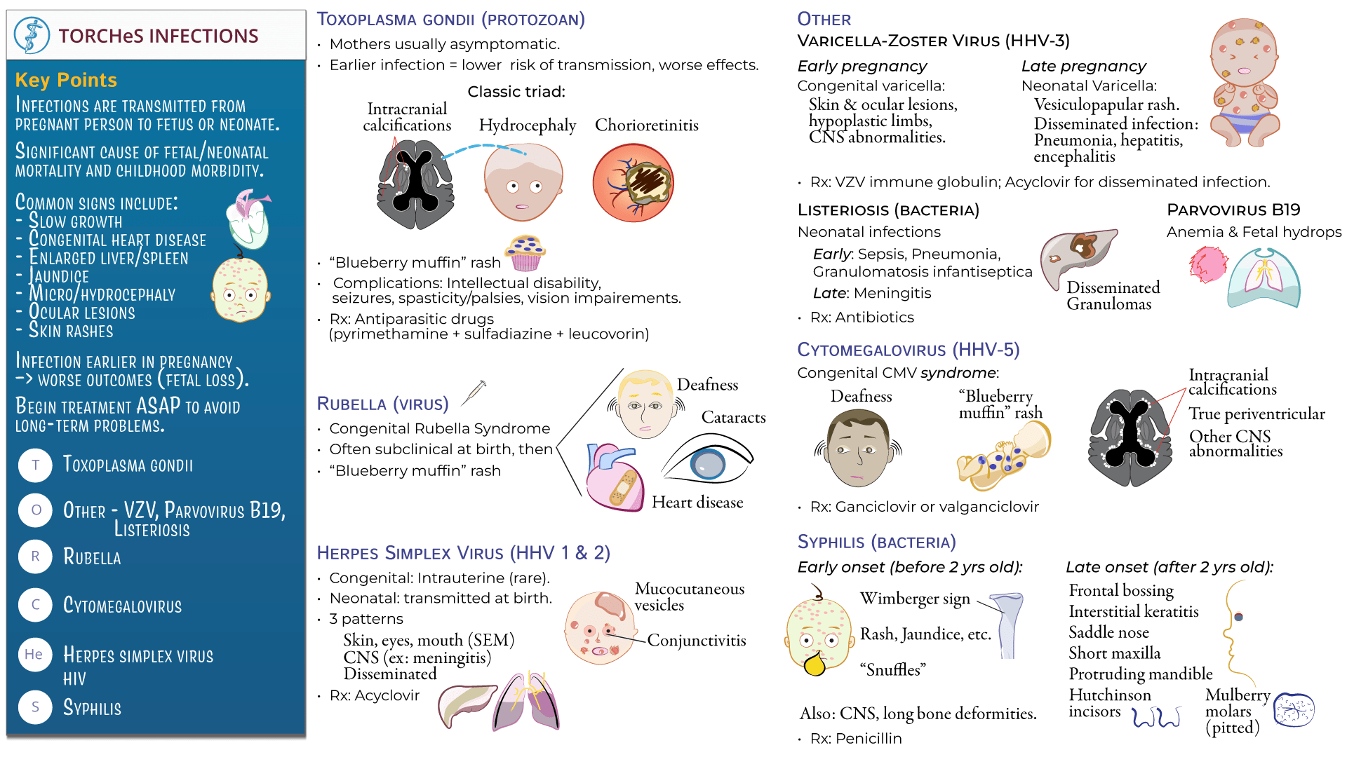 Immunology / Microbiology Congenital Infections (TORCHeS) ditki