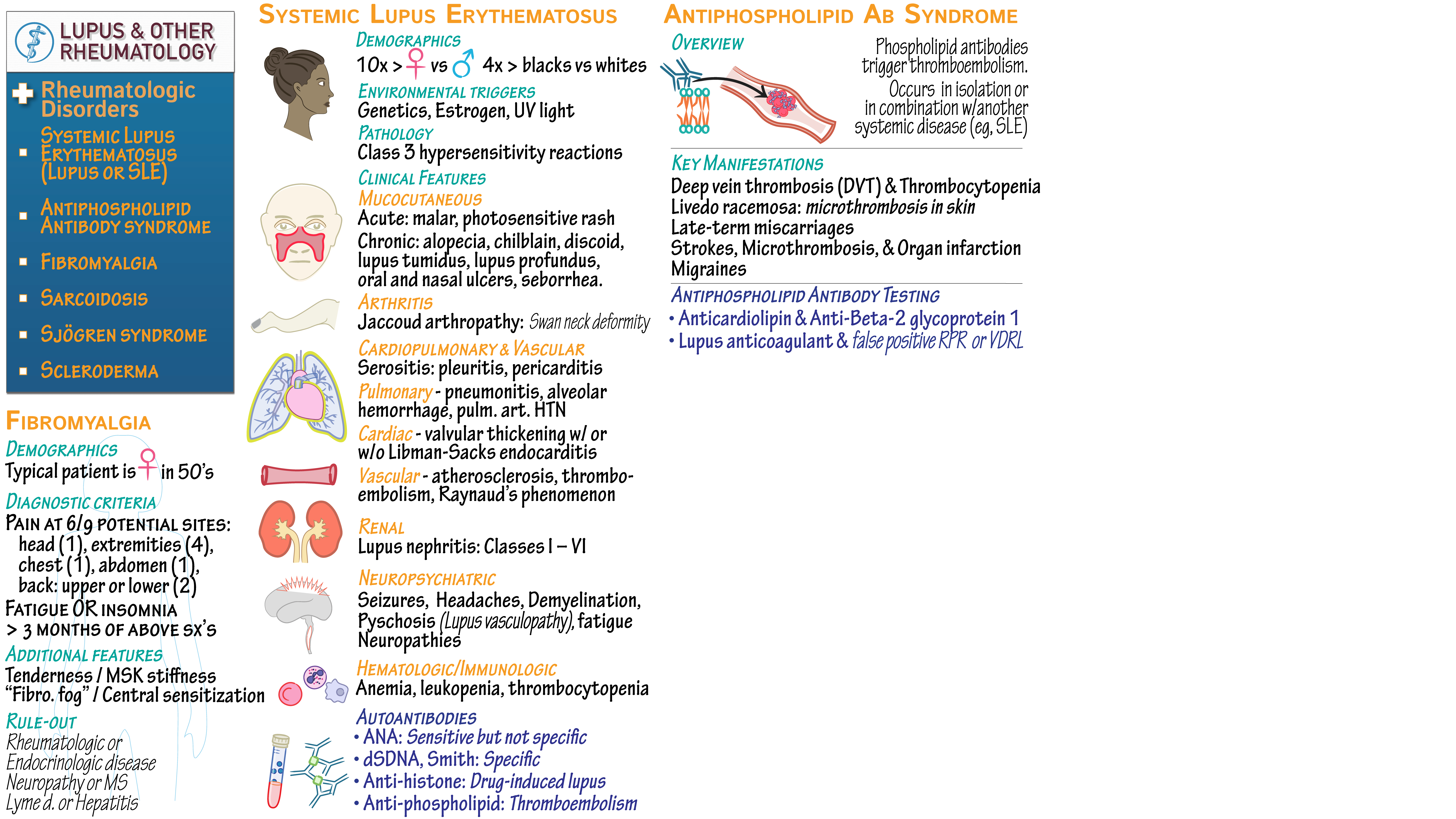 USMLE / COMLEX Step 3 Lupus, Antiphospholipid (APS), Fibromyalgia