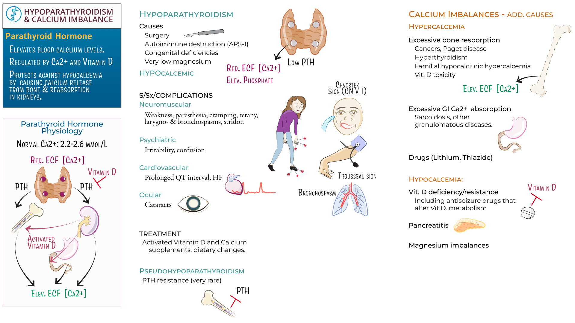 Clinical Pathology Hypoparathyroidism & Calcium Imbalances ditki medical & biological sciences