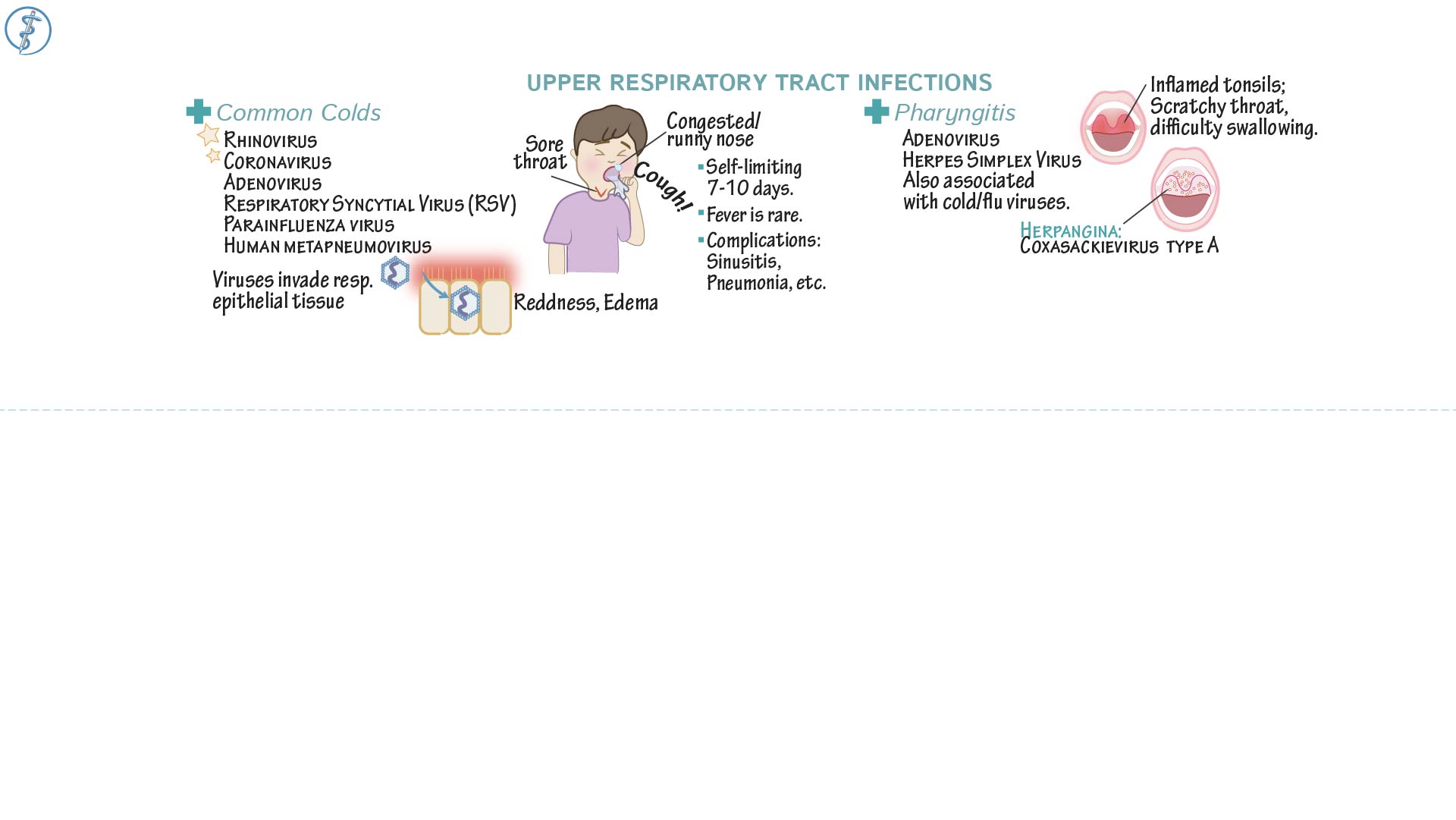 Clinical Pathology Upper Respiratory Infections ditki medical