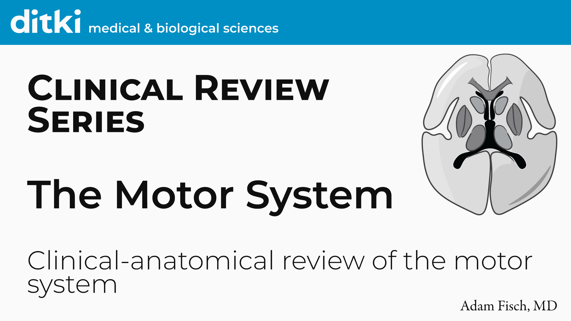 Anatomy & Physiology The Motor System ditki medical & biological
