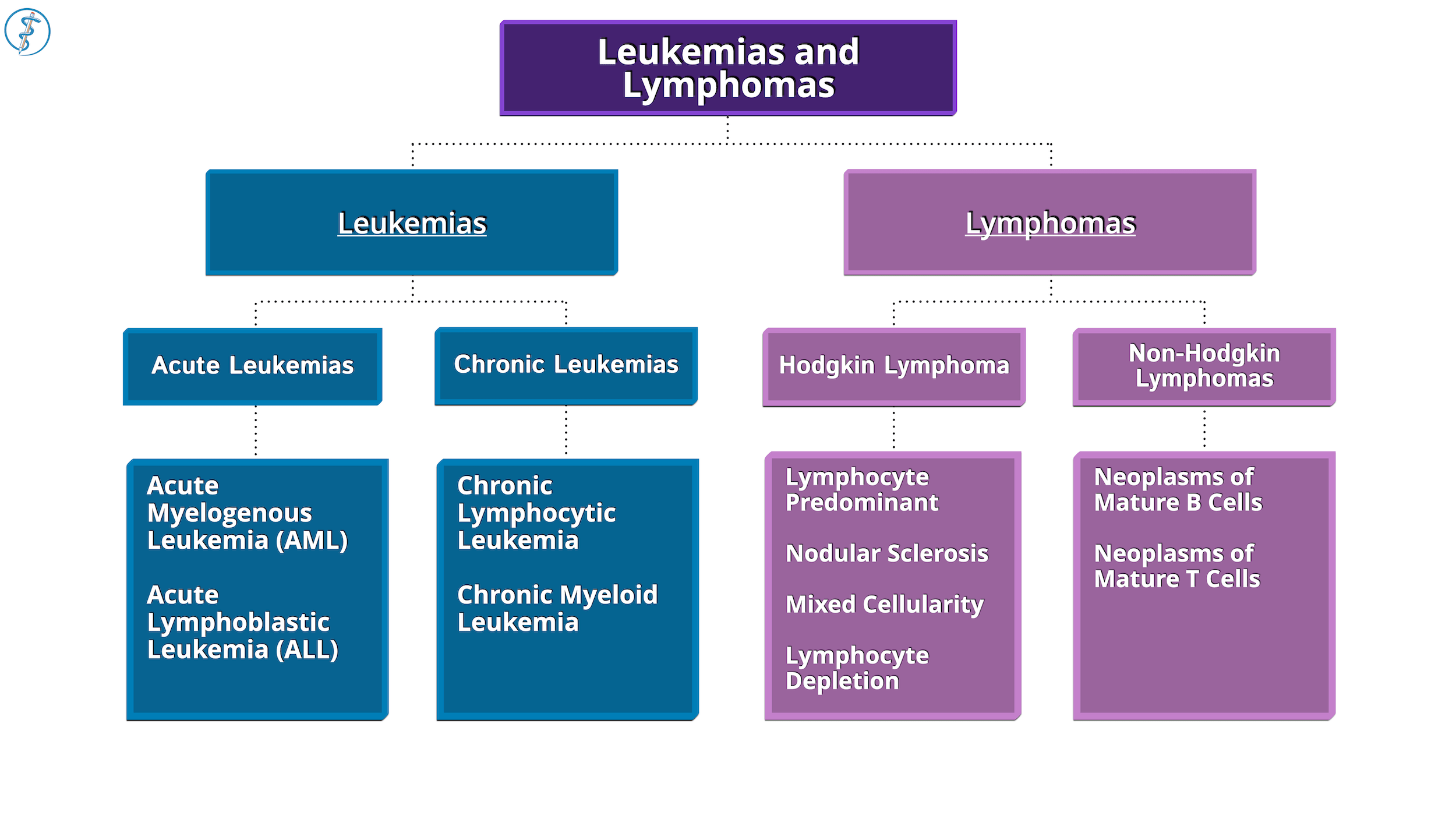 Clinical Medicine Leukemia & Lymphoma Draw It to Know It