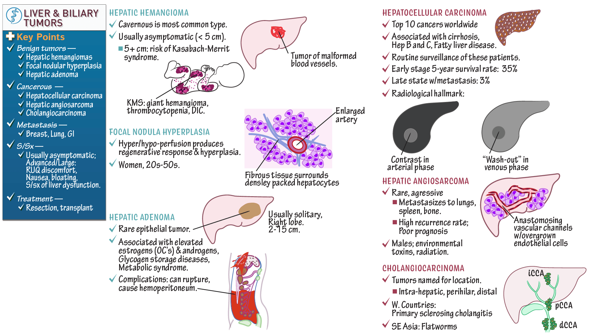 USMLE / COMLEX Step 2 Liver and Biliary Tract Tumors ditki medical