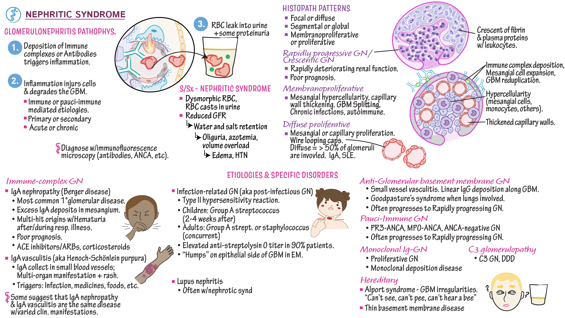 Clinical Pathology Nephritic Syndrome & Glomerulonephritis ditki