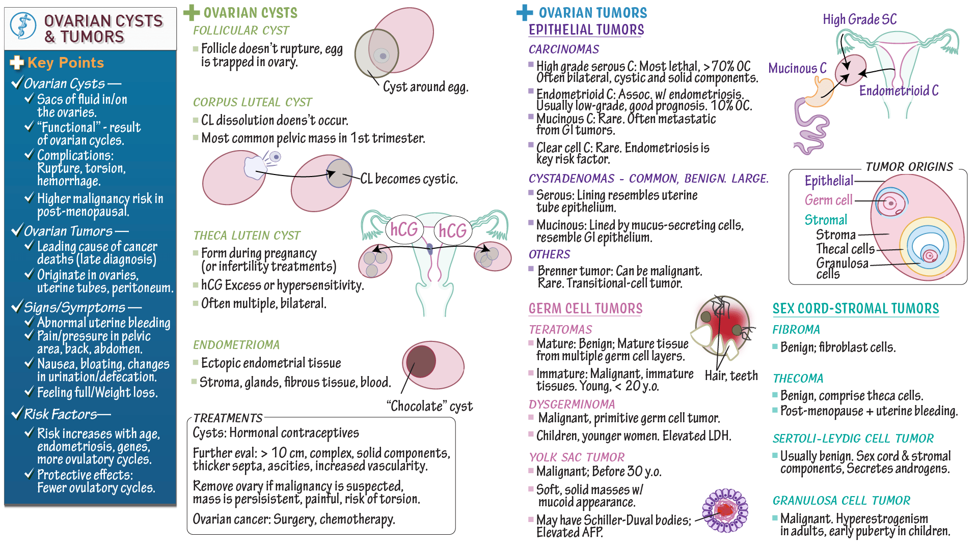 Clinical Pathology Ovarian Cysts and Tumors ditki medical