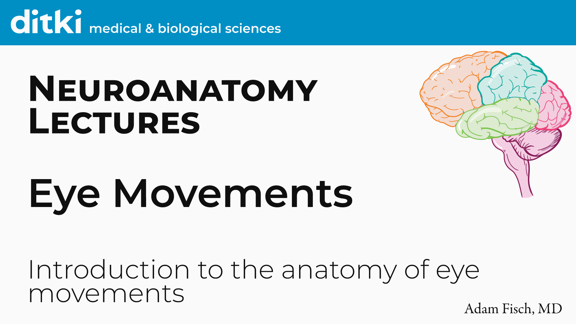Neuroscience Fundamentals Eye Movements Slides ditki medical & biological sciences