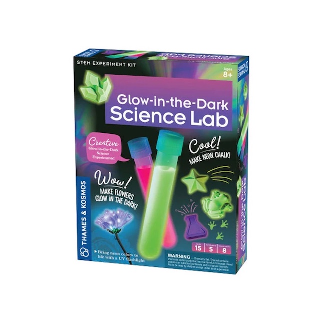 Best Toys for 11 Year Olds in 2023 Gifts Ideas for 11 Year Old Fat