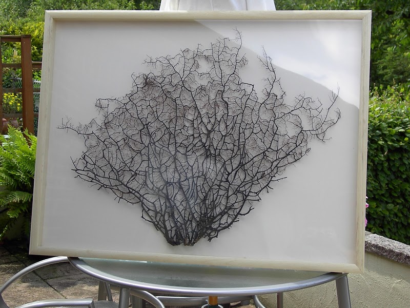 Alderglade Picture Framing Bark Profile and Reviews