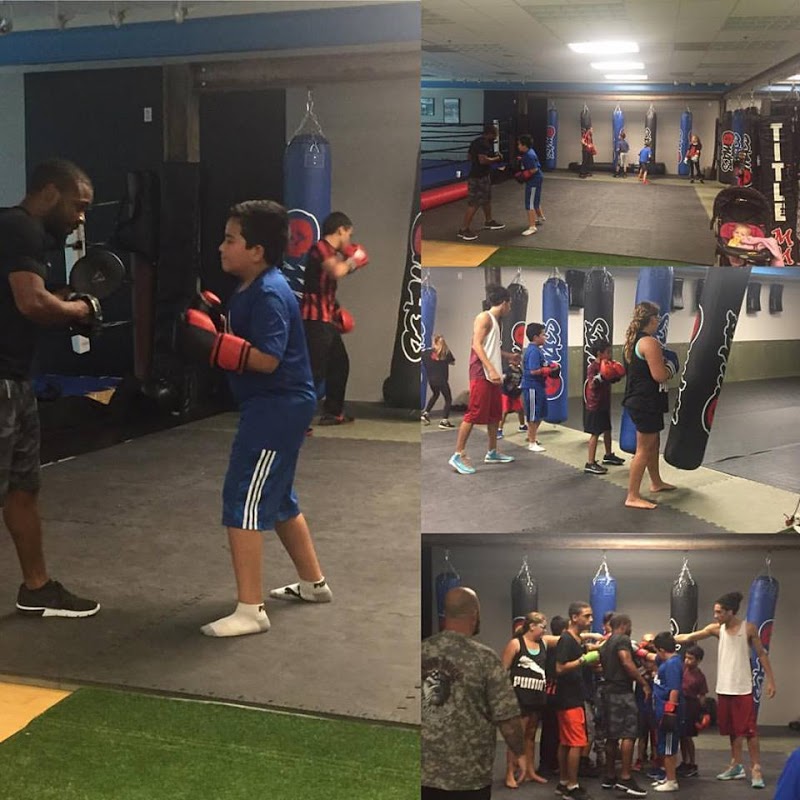 Teknique Boxing Gym | Bark Profile And Reviews