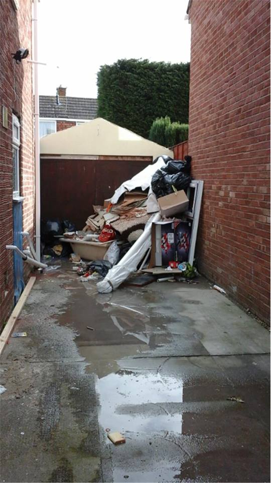 Scott Waste Ltd Bark Profile and Reviews