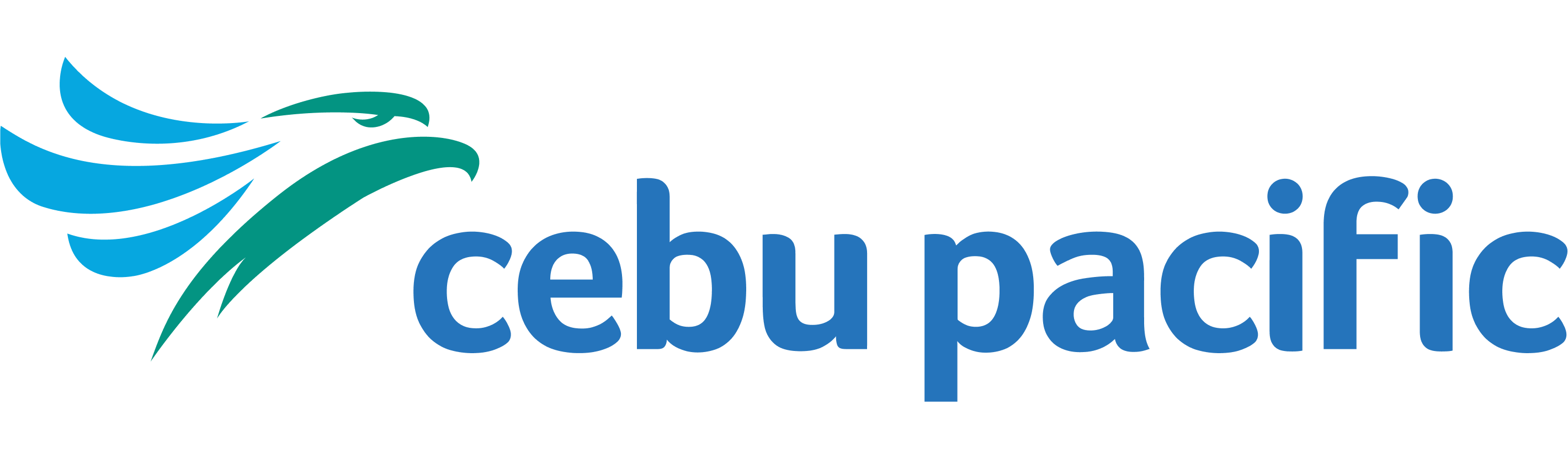 Cebu Pacific Manage Booking Checkin.Info