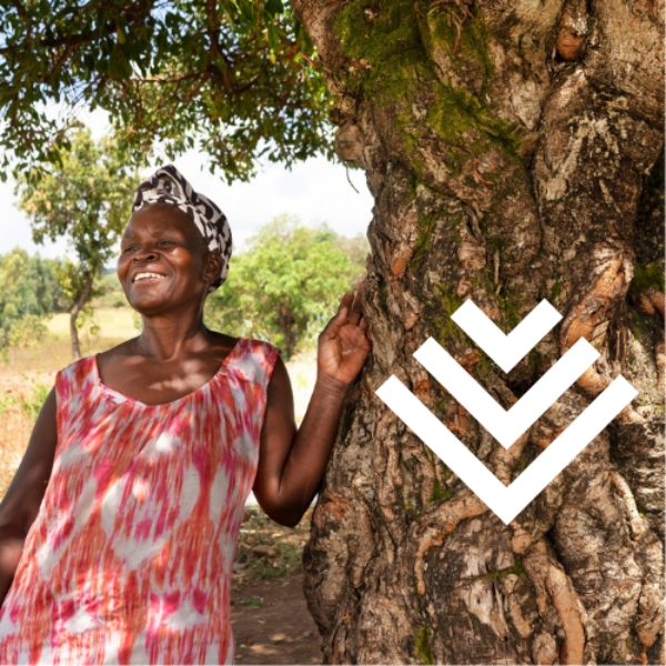 Ripple Effect Great anniversary gifts, that don’t cost the earth