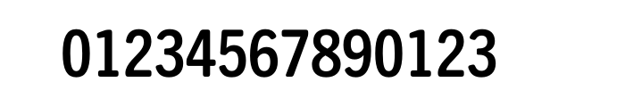 Trade Gothic Next Soft Rounded Pro Condensed Bold Font