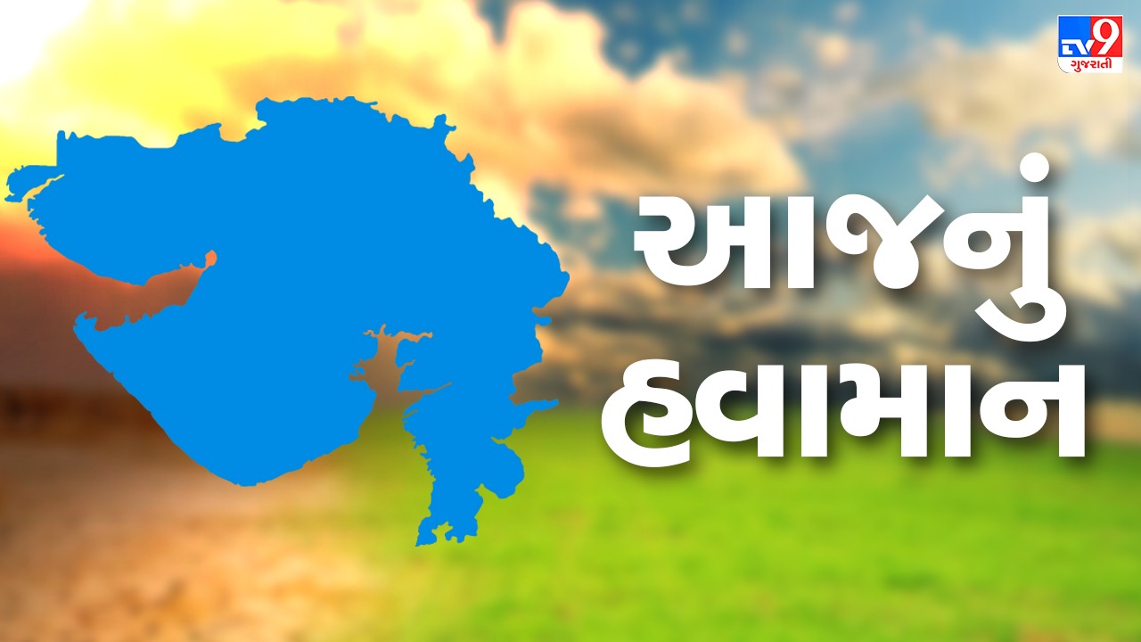 Gujarat weather ફુલ ગુલાબીનું સ્થાન લીધું હાડ ધ્રૂજાવતી ઠંડીએ