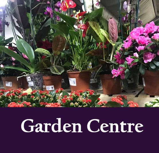 Corby + Fellas are delighted to announce Studley Grange Garden Centre