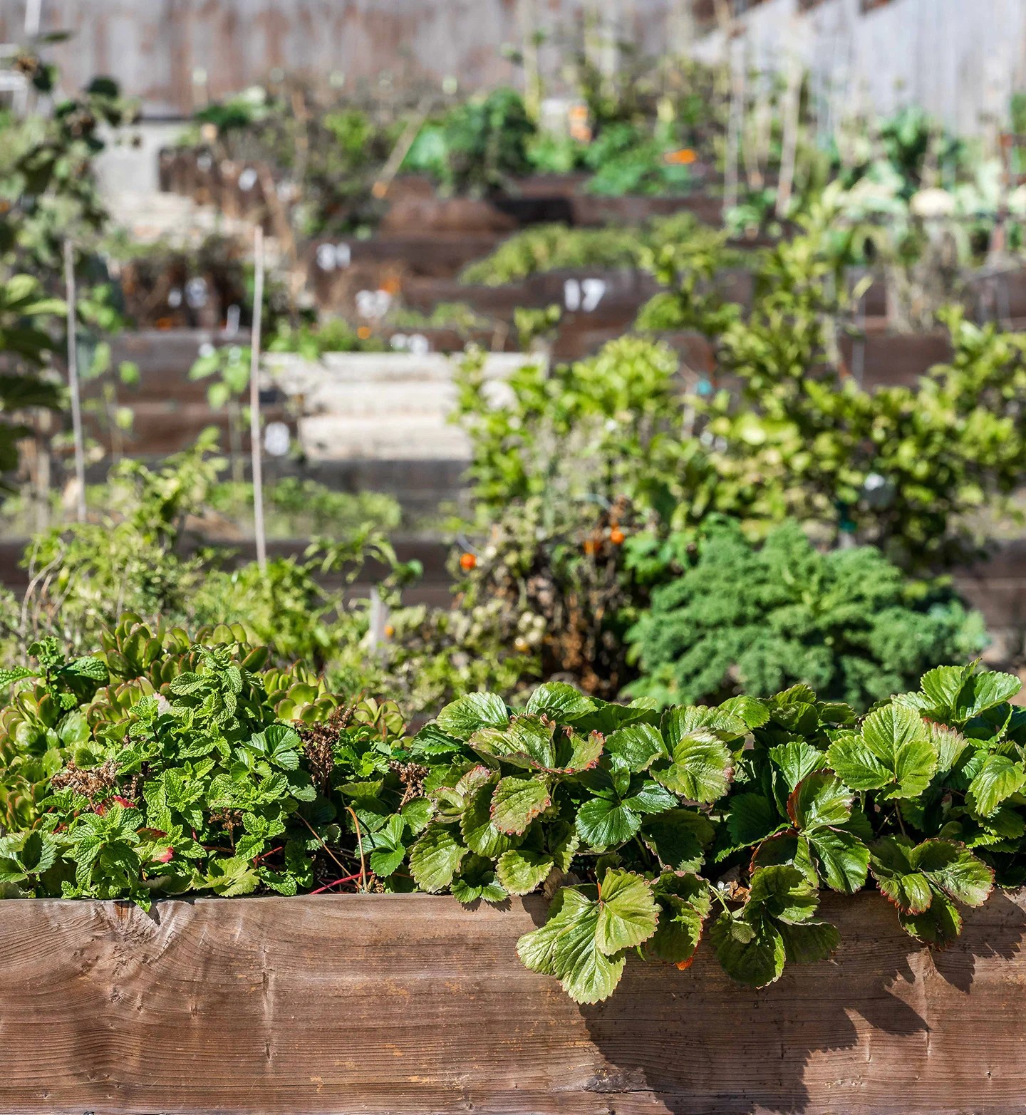 Mission Terrace Real Estate and Living SF Neighborhoods