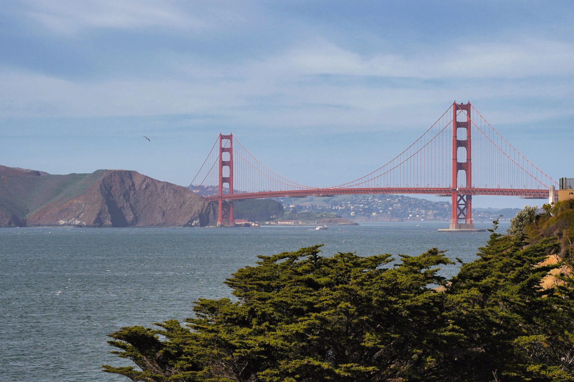 Sea Cliff Real Estate and Living San Francisco Neighborhoods