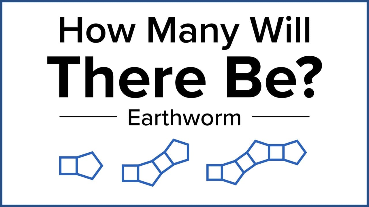 How Many Will There Be? Earthworm ＊ Byrdseed.TV