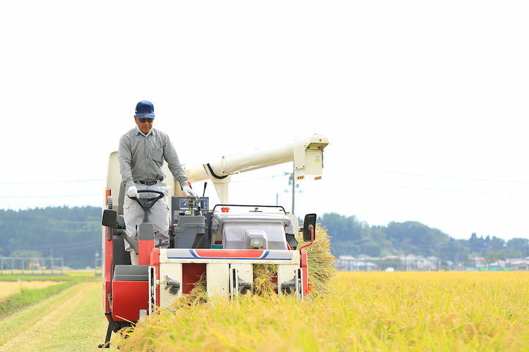 コンバイン 稲刈り