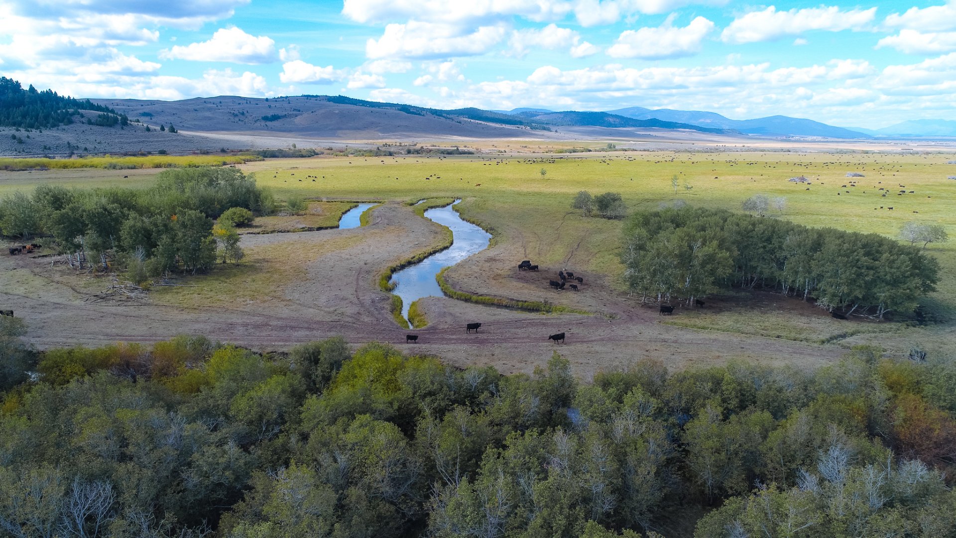 Ranches for Sale in Montana Live Water Properties