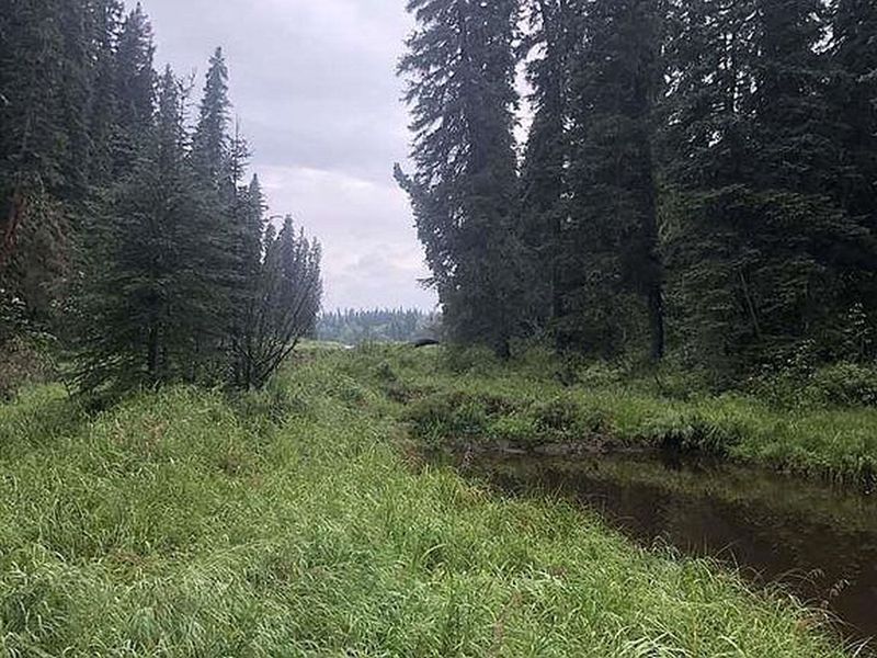 Nhn Salcha River Tract A, Salcha, AK 99714 ListReports