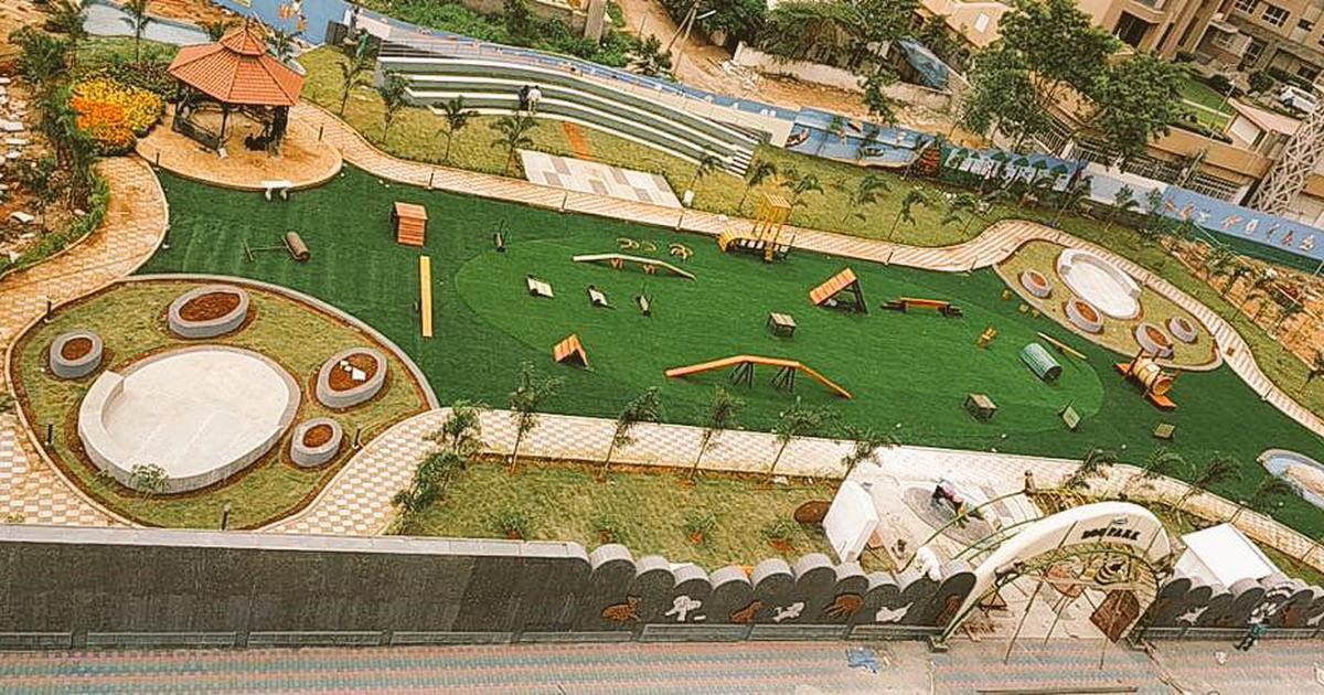 India’s first park for dogs to come up in Hyderabad soon