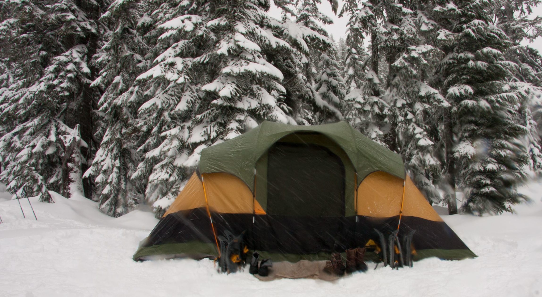 Winter camping in Washington State Parks Seattle's Child
