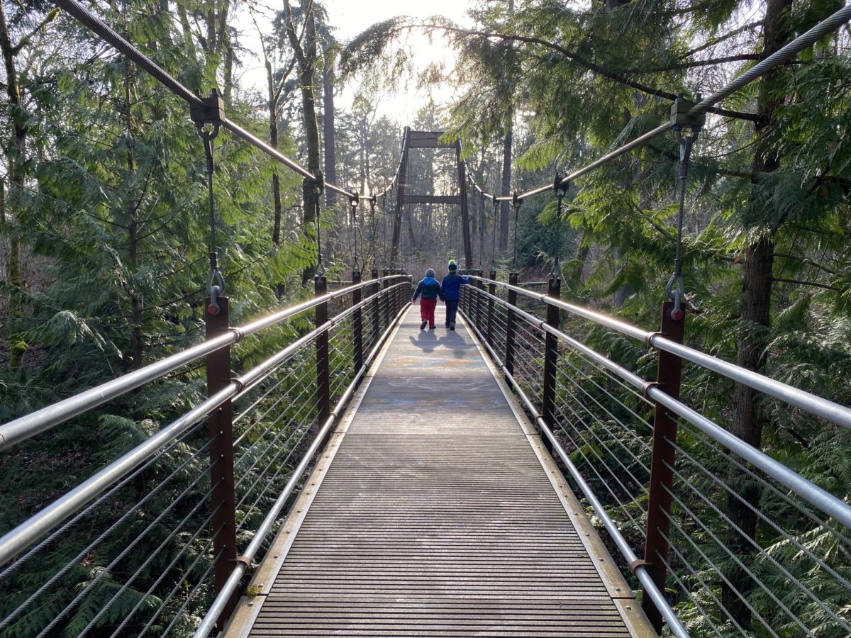 Bellevue Botanical Garden Come for the bridge (and stay for intriguing