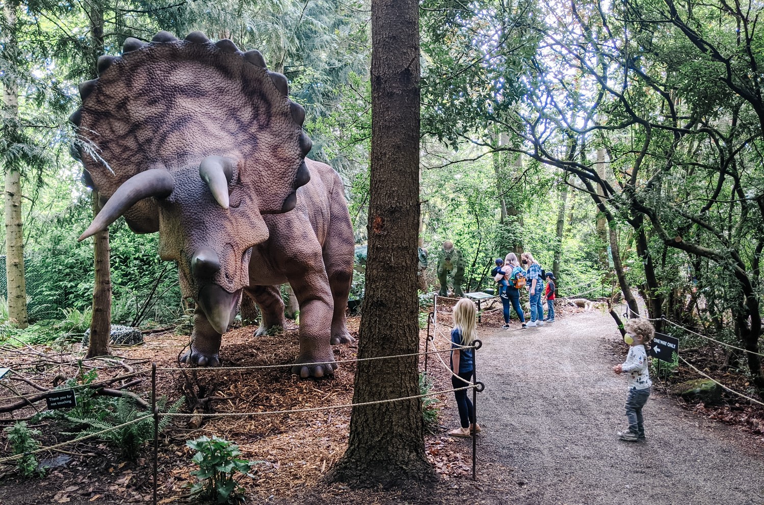 Woodland Park Zoo dinosaur exhibit parent review