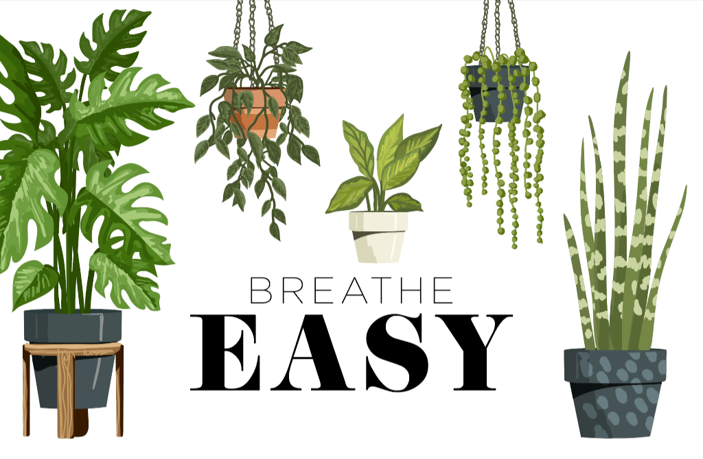 Breathe Easy Living Magazine