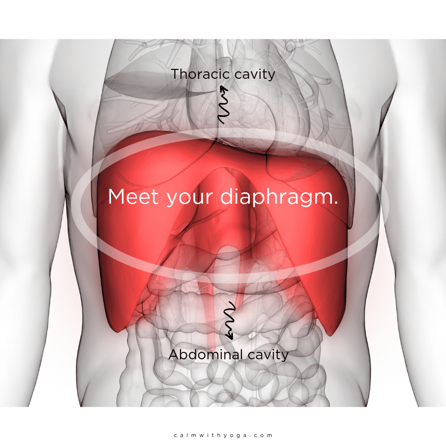 Benefits of Deep Breathing For Relaxation, Relieve Stress & Anxiety